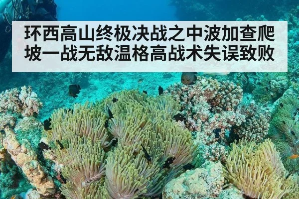环西高山终极决战之中波加查爬坡一战无敌温格高战术失误致败